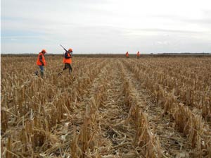 Two bird hunters in a plowed field shooting at birds
