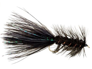 PocketWaterTrout WoolyBuggerFlies