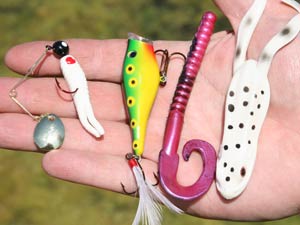 The Best Bass Fishing Lures for Ponds: Go-tos For Catching More Bass in  Small Water - USAngler