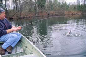 Fisherman With Catch