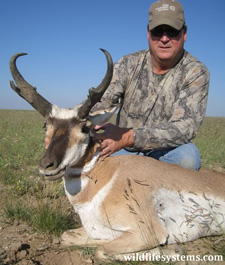 Pronghorn NewMexico