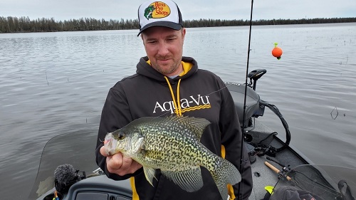 Spring Transition Crappie