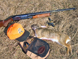 Rabbit hunting gear needed and harvested rabbit