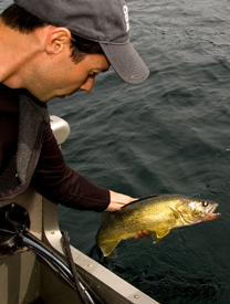 Walleye angler lifting up a walleye from the water
