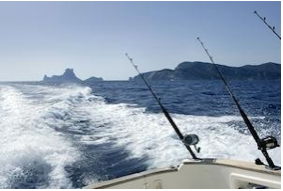How to properly maintain saltwater fishing gear