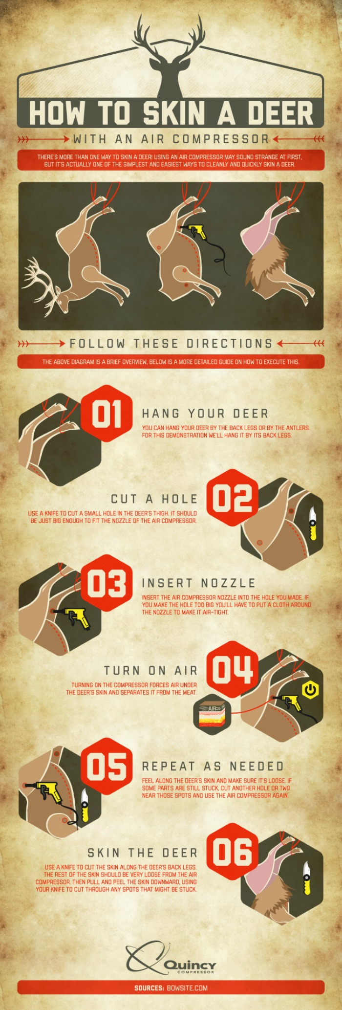 Skin a Deer Infographic