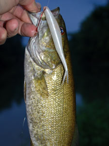 SmallmouthBaits 2