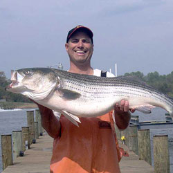 Striper Fishing Trick PROS DONT WANT YOU TO KNOW! Striped Bass are