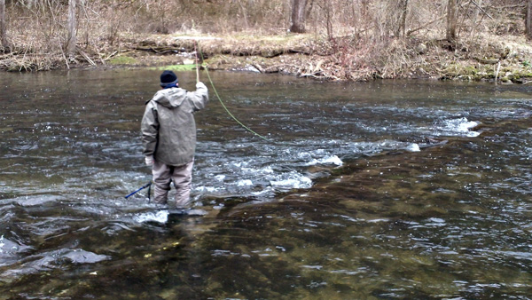 Saltwater Fly Fishing Buyer's Guide