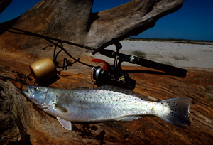 Saltwater Surf Fishing Basics