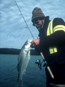 Angler dressed in winter clothing holding a striped bass