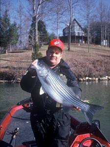 Angler in boat holding large stripe bass