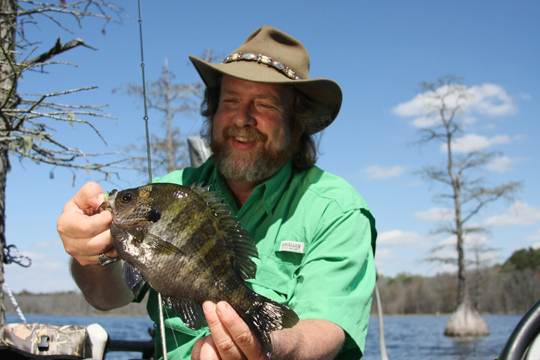 Fishing With Soft Plastics for Panfish