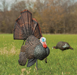 TurkeyDecoys MOJOShakeNJake