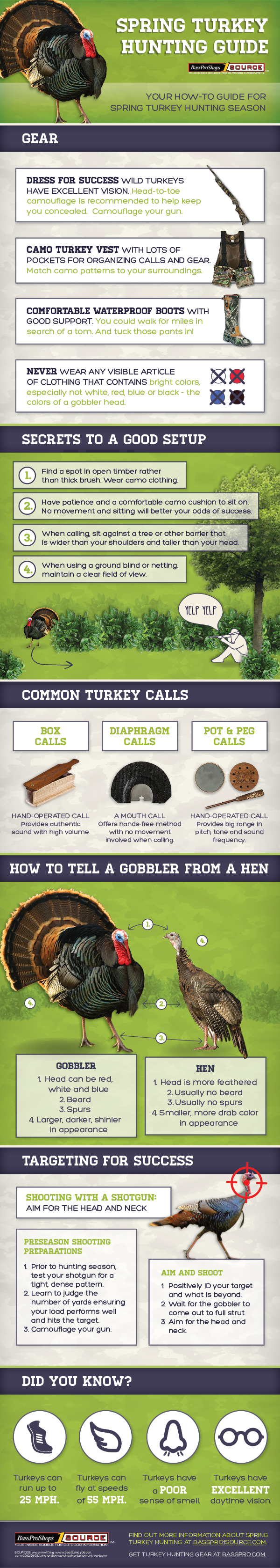 Spring Turkey Hunting Guide from Bass Pro Shops