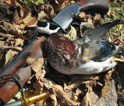 WoodDuck 4