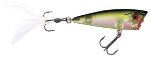 Bass Pro Shops Tourney Special Popper - Cabelas - BASS PRO 