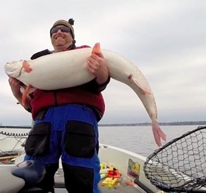 Jeremy Hauls In a GIANT Muskie, MUSKELLUNGE