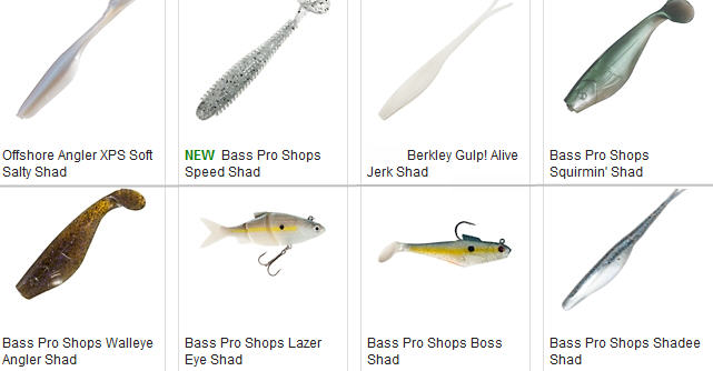 Catch Just About Any Fish With Shad Lures on Jigheads (video)
