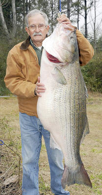 James Bramlett holding up his all-tackle world record striped bass