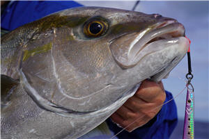 Saltwater Fishing: Catching the Sneaky Bonefish