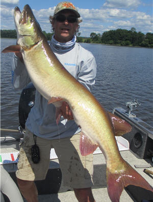 How To Figure 8 For Musky With A Fly Rod