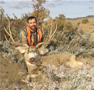 andrew mckean muley 300