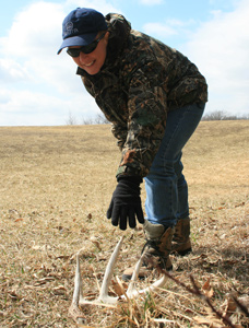 A person in a field finding a deer antler on the ground