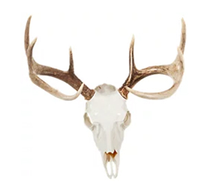 Mountain Mike's Plastic Deer Skull