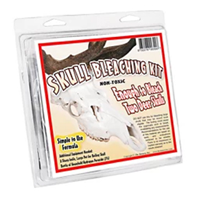 The Tannery Skull Bleaching Kit