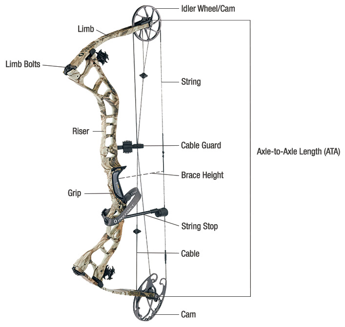 The basic parts with namesof a compound bow, 
