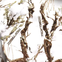 True Timber Snow Camo Pattern