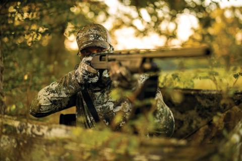 Hunter aiming shotgun in woods