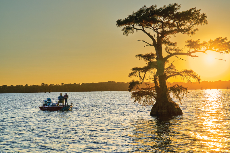 Two anglers fishing a lake near a tree surrounded by water