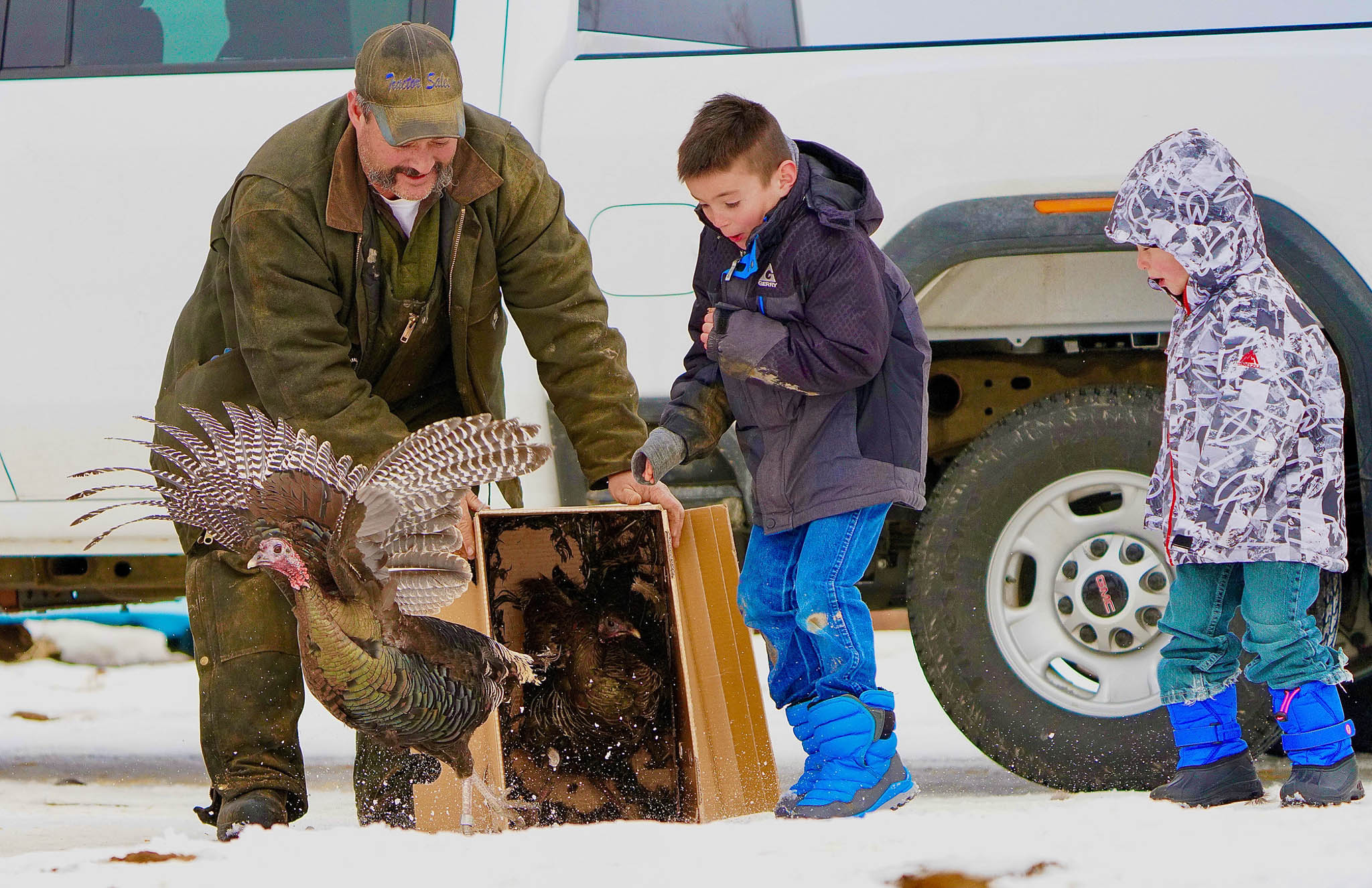 Father and kids release a turkey