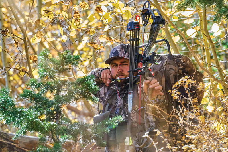hunter takes aim with compound bow on utah elk hunt