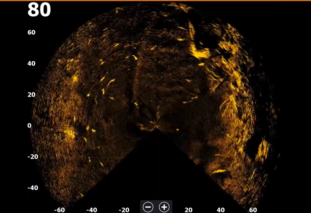 270-degree view of live sonar