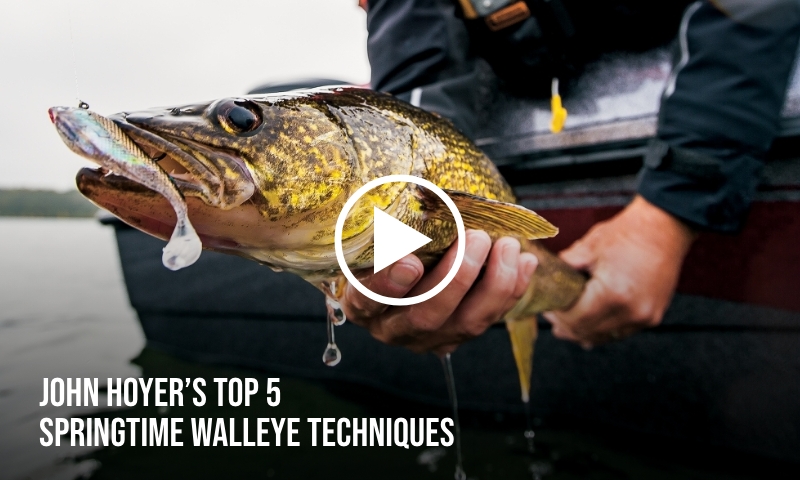 walleye caught with soft plastic minnow and jig