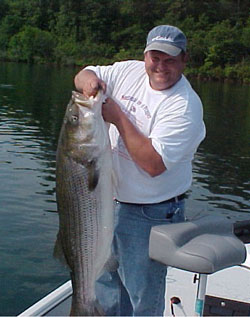 Summer Stripers: Chunking Structure - The Fisherman