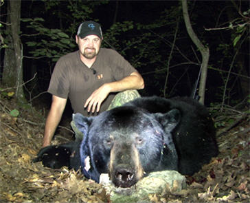 black bear