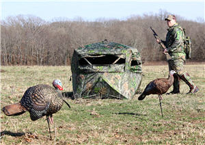 blind hunter turkey decoys300