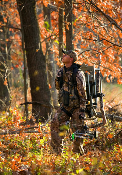 New at Bowhunting Deer? Try These Tips