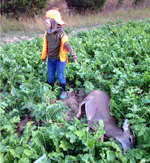 boy deer foodplot