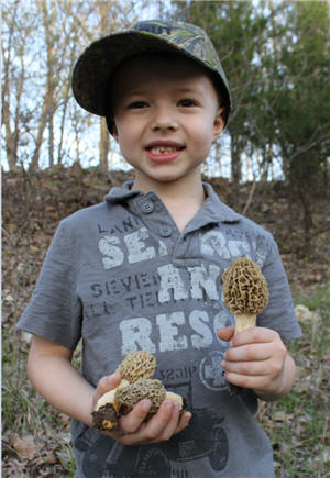 boy mushrooms in hand300