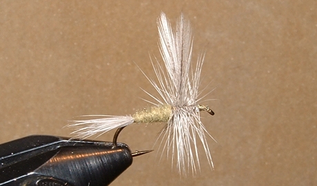 bwo10