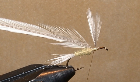 Tying the Blue-winged Olive