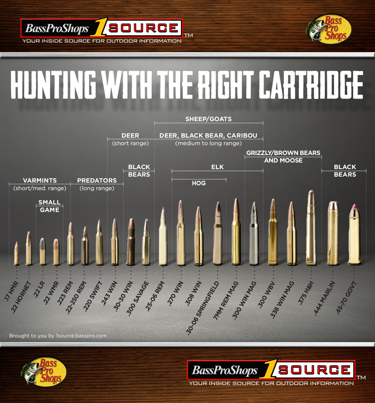 cartridge chart2
