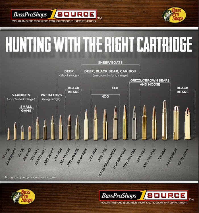 Hunting Cartridge chart sizes