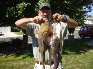 Trotline fishing, Catfish on a Trotline