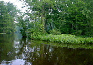 chickahominy lake